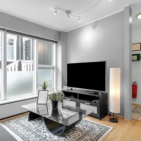 Baron Downtown Apartment